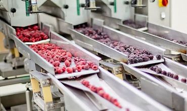 Оборудование для фасовки и упаковки замороженных продуктов