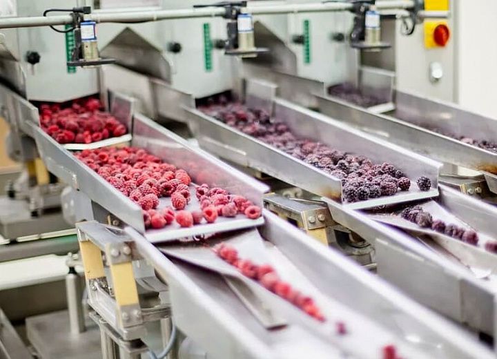 Оборудование для фасовки и упаковки замороженных продуктов Оборудование для фасовки и упаковки замороженных продуктов
